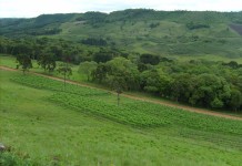 Meio Ambiente abre 5 mil vagas para curso de gestão territorial