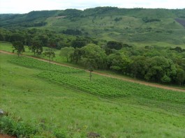 Meio Ambiente abre 5 mil vagas para curso de gestão territorial