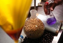 Ministro destaca papel de biocombustíveis para sustentabilidade