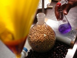 Ministro destaca papel de biocombustíveis para sustentabilidade