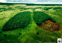 Meio ambiente golpeado