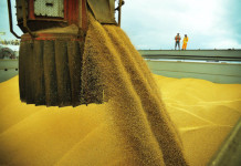 Como o agronegócio está exportando nossa água