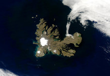 Poluição por metais pesados já atinge vida marinha remota