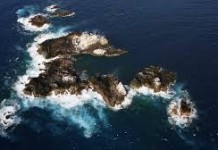 Brasil criará 90 milhões de km de unidades de conservação marinha