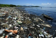 Atividades humanas já danificaram 75% da superfície terrestre