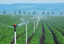 Pesquisador destaca papel da irrigação na sustentabilidade ambiental