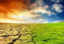 Mudanças climáticas aumentam o risco de surtos de doenças