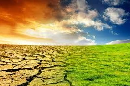 Mudanças climáticas aumentam o risco de surtos de doenças
