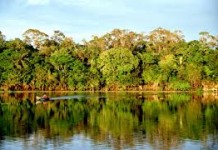 Prioridade para conservação com olho no passado