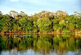 Prioridade para conservação com olho no passado