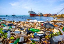 Pesquisa melhora enzima que degrada plástico