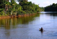 Áreas preservadas são as melhores fontes de água limpa