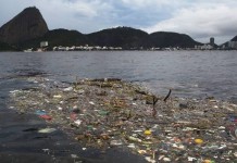 Baía de Guanabara vive um conflito silencioso em meio à poluição