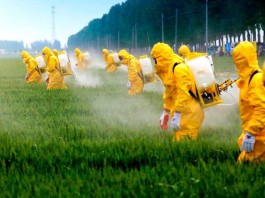 Agrotóxicos e outras substâncias químicas nocivas matam 193 mil pessoas no mundo por ano