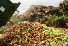 Por ano, 33 mil toneladas de alimentos das feiras livres de São Paulo vão para o lixo