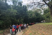 1ª trilha com trecho para cadeirantes na região é inaugurada em Cachoeiras de Macacu