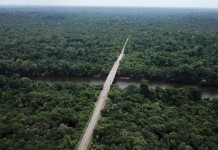 Privatização de terras na Amazônia pode causar prejuízo de R$ 118 bilhões