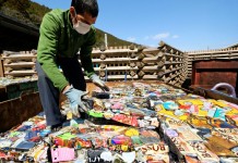 Cidade japonesa separa lixo em 45 categorias