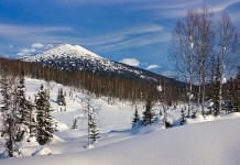 Cientistas afirmam que Sibéria ficará habitável após mudanças climáticas