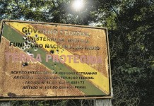 Pesquisa identifica mais de 1.300 casos de violência contra defensores do meio ambiente