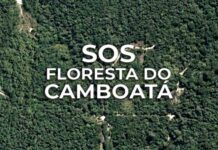 Pela Presevação da Floresta do Camboatá
