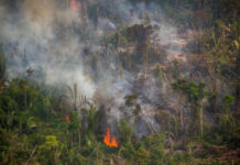 Moratória do fogo é desrespeitada e queimadas seguem em alta na Amazônia