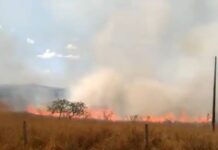 PM de Minas Gerais ateia fogo no acampamento Quilombo Campo Grande Quilombo Campo Grande