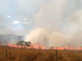 Quilombo Campo Grande