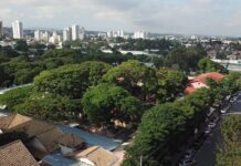 A importância da Educação Ambiental para Crianças