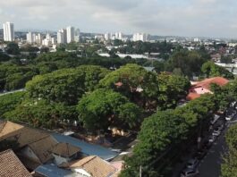 A importância da Educação Ambiental para Crianças