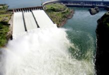 Estudo relaciona mortandade de peixes a operações de hidrelétricas itaipu_foto_caio_coronel_2_0