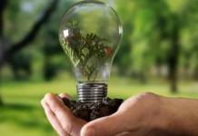 Mercado Verde e transição Energética são temáticas da Feira de Responsabilidade Social