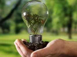 Mercado Verde e transição Energética são temáticas da Feira de Responsabilidade Social