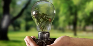 Mercado Verde e transição Energética são temáticas da Feira de Responsabilidade Social