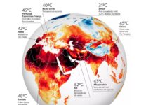 A seca histórica no Hemisfério Norte e seus efeitos