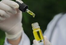 Japão estuda a possibilidade de descriminalizar a cannabis medicinal