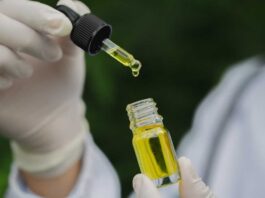 Japão estuda a possibilidade de descriminalizar a cannabis medicinal