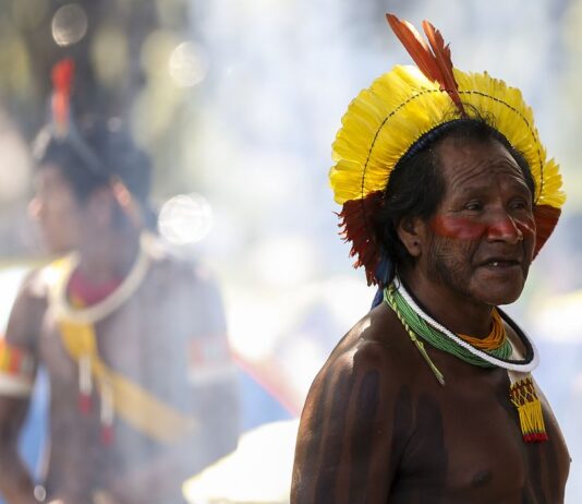 Já havia indícios da gravidade da situação dos yanomami, diz ministra
