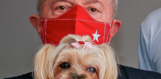 Governo Lula terá órgão de defesa dos Direitos dos Animais direitos dos animais