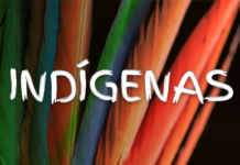 MPF move ação para garantir segurança na Terra Indígena Tekoha Jevy em Paraty (RJ)