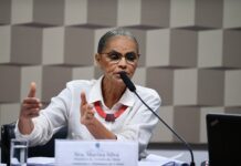 Brasil pode unir preservação ambiental e crescimento econômico, diz Marina Silva imagem_materia (1)