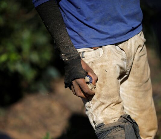 Operação conjunta resgata 532 trabalhadores em condição de escravidão 2021-03-02t103200z_1_lynxnpeh210kx_rtroptp_4_brazil-coffee-slavery