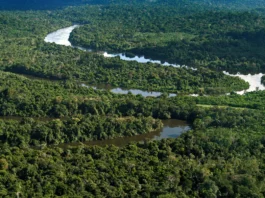 amazonia
