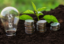 Renda fixa ligada ao meio ambiente é a nova aposta do Brasil; entenda os títulos verdes fotos-para-site-mt-34