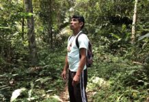 No Dia da Amazônia, organizações alertam sobre preservação do bioma raimundo_vasconcelos