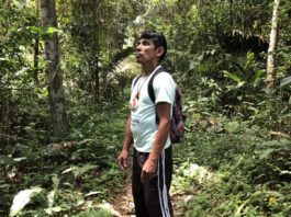 raimundo_vasconcelos