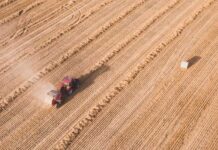 Produção de comida responde por 74% das emissões do Brasil desg54