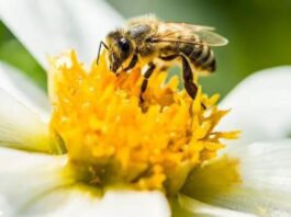 e098f5b0-5bd0-11ee-815b-13915c29420e