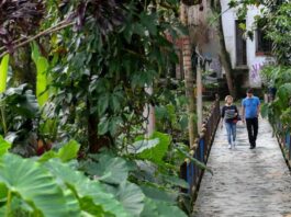 f8cf2430-5bbf-11ee-b8af-8301cdef476d