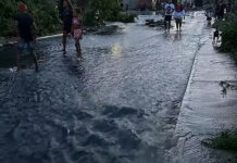 Uma das maiores tragédias anunciadas do ponto de vista social e ambiental’, diz defensor público 1d7bec8f-63f8-4ec8-811f-9b5f5c0820fc.jpg.640x360-q75-box-0-379-984-933-crop-detail (1)